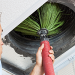 Pet Dander and Air Ducts What Every Pet Owner Should Know