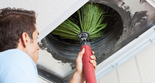 Pet Dander and Air Ducts What Every Pet Owner Should Know